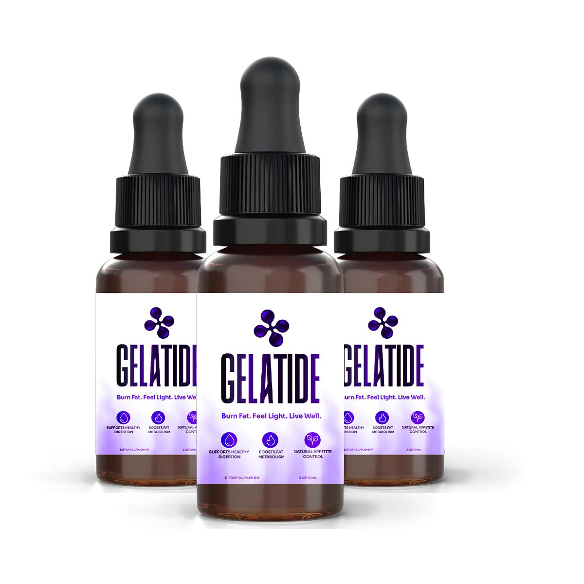 Gelatide product presentation
