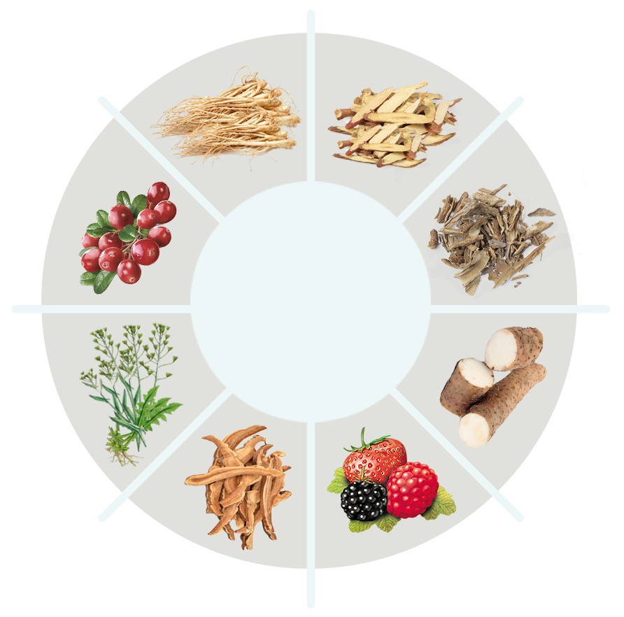 MetaMelt ingredient circle